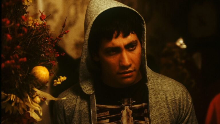 Read more about the article Donnie Darko Explained: An In-Depth Analysis of Time Loops, Free Will, and Madness