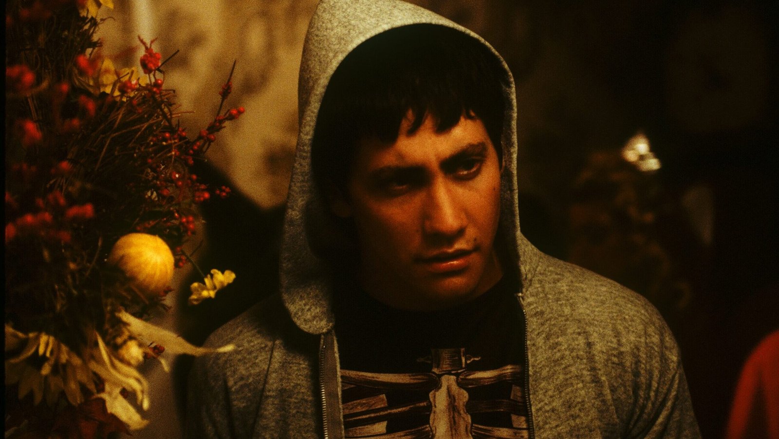 You are currently viewing Donnie Darko Explained: An In-Depth Analysis of Time Loops, Free Will, and Madness