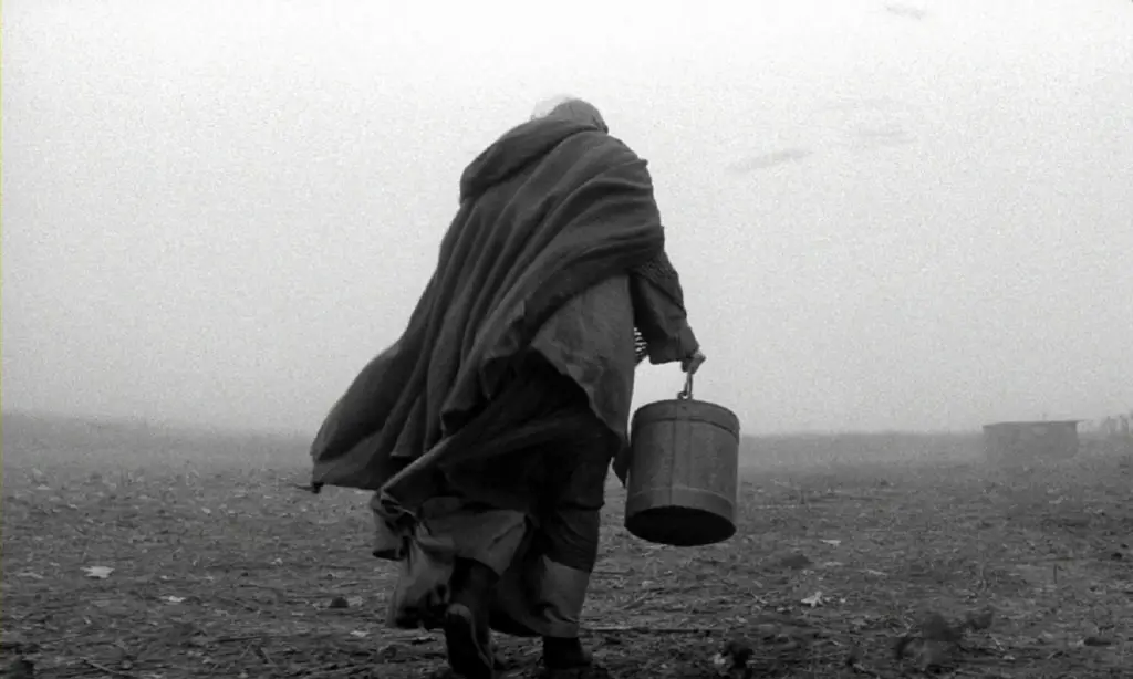 barren landscape in turin horse