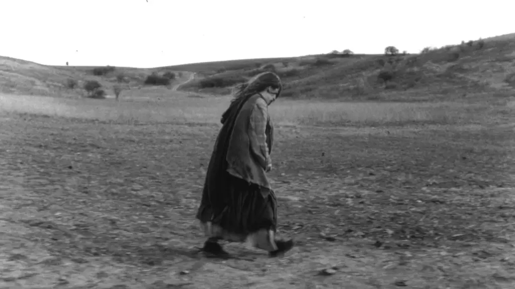 A desolate landscape in The Turin Horse