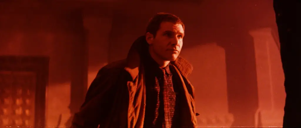 Search for Meaning in Blade Runner