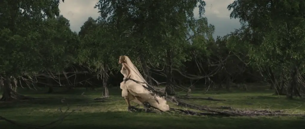 A scene from Melancholia, showcasing the contrast between beauty and despair