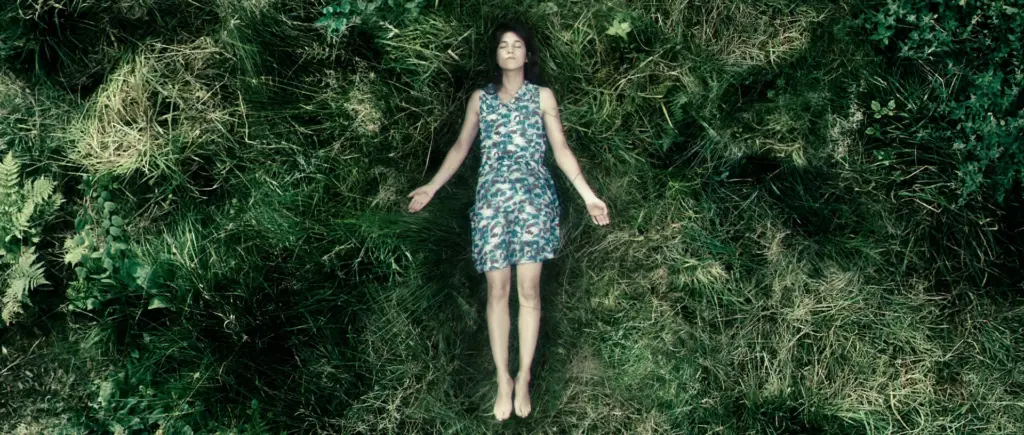 Antichrist Film Scene Featuring Nature and Grief