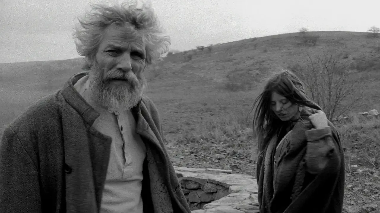 You are currently viewing The Turin Horse Explained: A Haunting Reflection on Existence