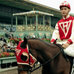 Seabiscuit Explained: A Powerful Journey of Resilience and Triumph